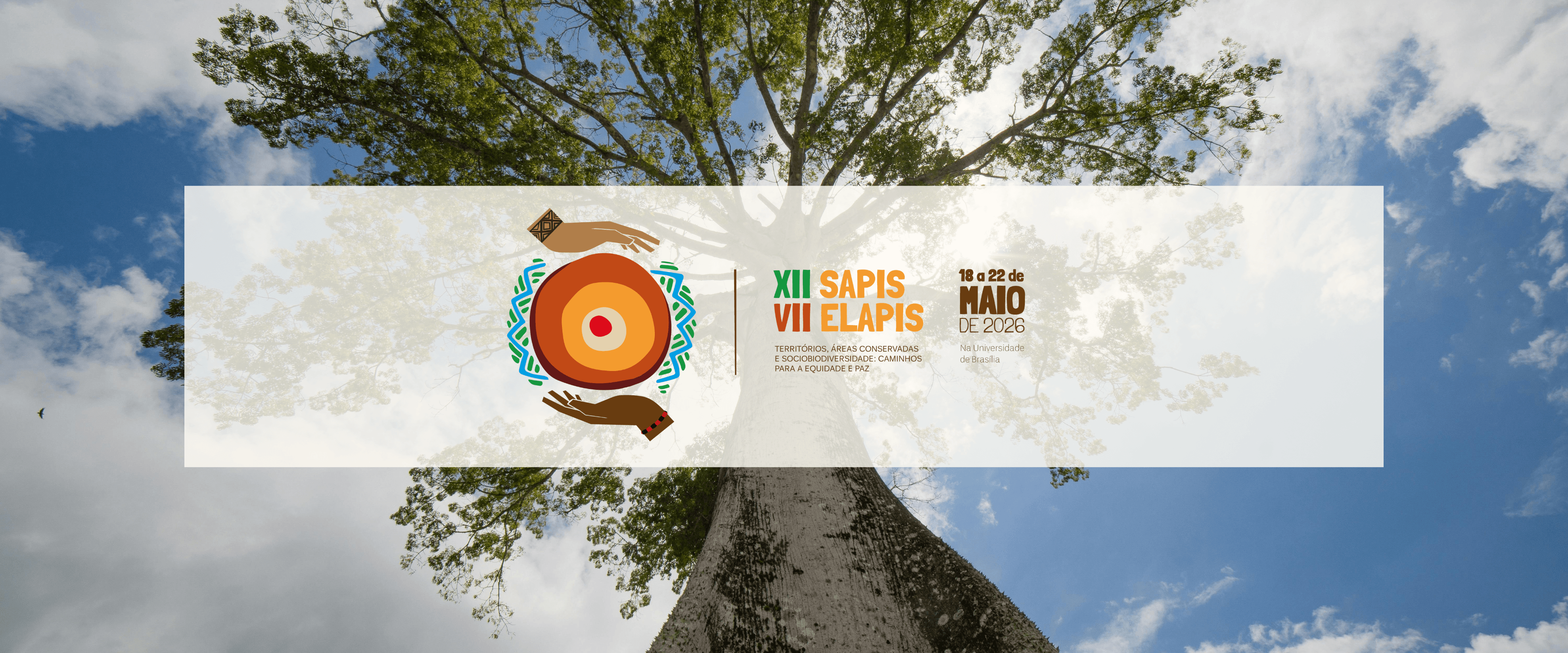 XII SAPIS & VII ELAPIS 2026